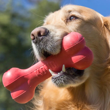KONG All Series and All Size for Puppy Wobbler Dog Cat Toy of Flyer Tires Durable Natural Rubber Fun to Chew Chase and Fetch